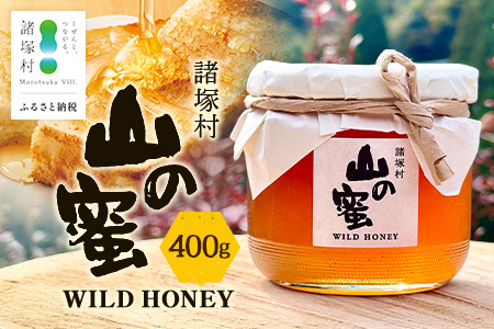 はちみつ 山の蜜 400g×1本 冷蔵｜国産 蜂蜜 百花蜜 ニホンミツバチ 希少 自然養蜂 瓶 もろっこはうす 宮崎県 諸塚村 MO-02