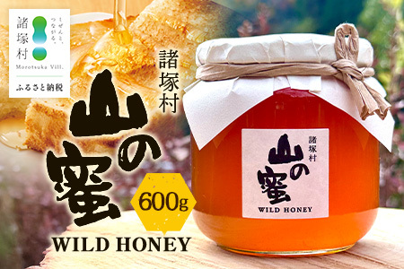 はちみつ 山の蜜 600g×1本 冷蔵｜国産 蜂蜜 百花蜜 ニホンミツバチ 希少 自然養蜂 瓶 もろっこはうす 宮崎県 諸塚村 MO-03