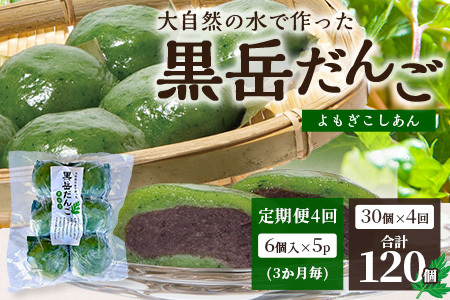 【定期便3ヶ月毎4回】だんご 黒岳だんご（6個入×5P）×4回［3か月毎配送］計120個 冷凍｜団子 和菓子 お菓子 あんこ こしあん よもぎ 米粉 手作り 個包装 大容量 もろっこはうす 宮崎県 諸塚村 MO-07