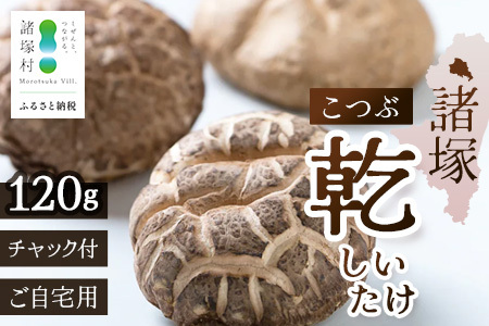 [世界初CoC認証取得!]宮崎県諸塚村産 乾しいたけ こつぶ 40g×3P 計120g 常温|干ししいたけ どんこ 椎茸 冬菇 一口サイズ 酢漬け 手まり寿司 天ぷら 原木栽培 家庭用 もろっこはうす