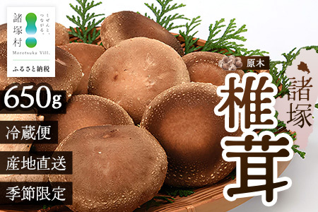 [先行予約]宮崎県諸塚村産 原木生椎茸 約650g[2026年9月〜11月ごろにお届け]冷蔵|しいたけ 生シイタケ きのこ キノコ 原木しいたけ 産地直送 秋の味覚 もろっこはうす