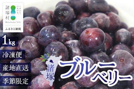 [数量限定]諸塚村産 冷凍ブルーベリー 約1kg|ブルーベリー 果物 フルーツ 産地直送 スムージー ヨーグルト もろっこはうす 宮崎県 諸塚村