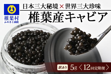 [12回定期便][訳あり]HEIKE CAVIAR 5g × 12回 計60g [世界三大珍味×日本三大秘境] 訳あり 宮崎 椎葉 国産 チョウザメ キャビア 定期便 魚卵 魚介 珍味 贈答 希少 SZ-115_12teiki