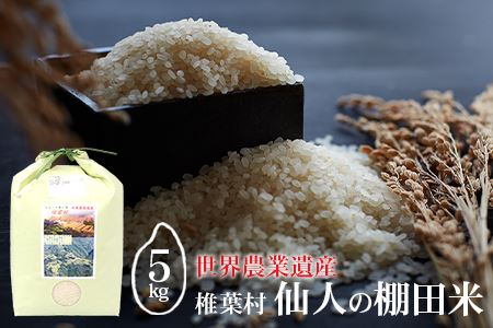 [世界農業遺産] 仙人の棚田米 5kg 椎葉産 米 産地直送