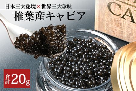 [桐箱入り]HEIKE CAVIAR 20g[宮崎県 椎葉村] チョウザメ [世界三大珍味×日本三大秘境] キャビア 20g 魚卵 チョウザメ 魚介 珍味 SZ-103