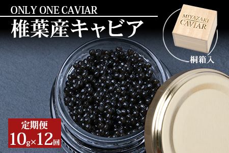 定期便 [桐箱入り][12ヶ月お届け 合計120g(10g×12回)]HEIKE CAVIAR [宮崎県 椎葉村][世界三大珍味×日本三大秘境][宮崎 椎葉 国産 定期便 チョウザメ キャビア 魚卵 卵 クリーミー お酒 魚介 珍味 加工品 冷凍 高級 贅沢 お取り寄せ お取り寄せグルメ ディナー パーティー おつまみ グルメ お祝い ギフト 記念日 誕生日 プレゼント 贈り物 贈答 桐箱 希少][SZ-111]