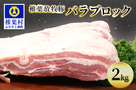 椎葉放牧豚 バラブロック【合計2Kg】【世界を翔ける 日本三大秘境の 美味しい 豚肉】【2キロ】【好きな量を好きなだけ使えて便利】