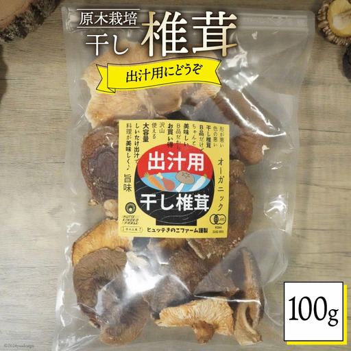 宮崎県産 乾燥 椎茸 100g×1袋 チャック袋入 [ HUTTE 宮崎県 美郷町 31ao0013]
