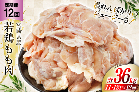   { 12 {g11?12pbN v3kg [Bt[Y {茧  31aj0061]