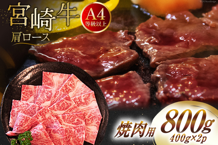 yA4ȏz   {苍 [X ēp 400g×2 v800g [St[hT[rX {茧  31bm0038] Ⓚ  uh   [X