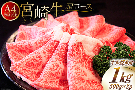 yA4ȏz   {苍 [X Ăp 500g×2 v1kg [St[hT[rX {茧  31bm0041] Ⓚ  uh   [X