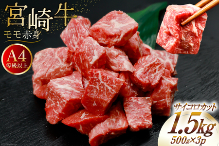 yA4ȏIz   {苍 Ԑg TCRJbg 500g×3 v1.5kg [St[hT[rX {茧  31bm0051] Ⓚ  uh Ԑg  Ԑg
