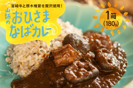 カレー レトルト 山師のおひさま なばカレー 宮崎牛 原木椎茸 使用 180g [HUTTE 宮崎県 美郷町 31ao0025]