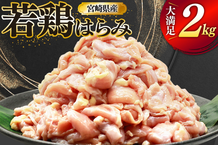 { { ͂ 2kg {͂ [~PCt[h {茧  31bp0021] {  n~ Ⓚ 