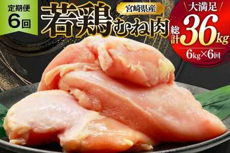 {  ނ˓ { {ނ˓ 6kg 6 v36kg [~PCt[h {茧  31bp0019] {ނ { ނ Ⓚ 