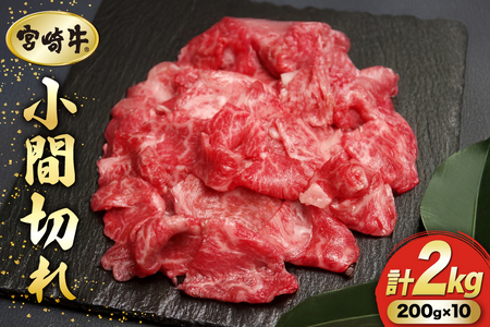  {苍 Ԑ؂ 200g 10P v2kg [}~XgA {茧  31ag0147]  Y јa  a BBQ