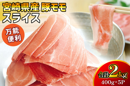 ؓ {茧Y ؃ XCX 400g 5P 2kg [}~XgA {茧  31ag0150]  Ԃ    