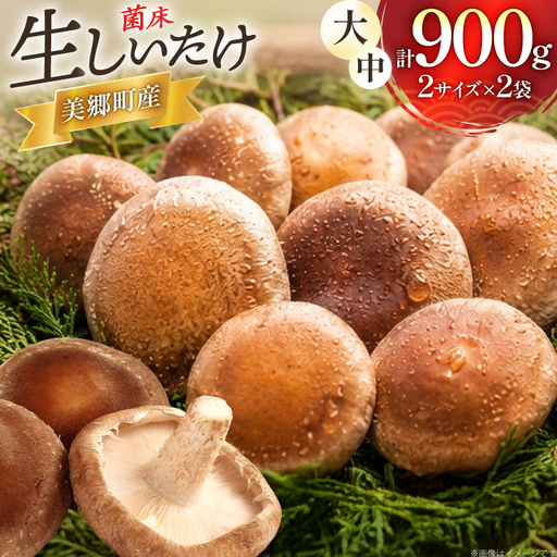 生しいたけ セット 約300g× 2袋 約150g× 2袋 計4袋 約900g [杉本きのこ園 宮崎県 美郷町 31bs0001]
