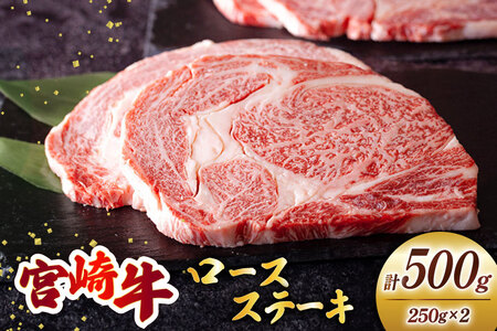 {苍 [X Xe[L 250g×2[~`N {茧  31au0074]   Ⓚ {茧Y Y ~ TV BBQ o[xL[