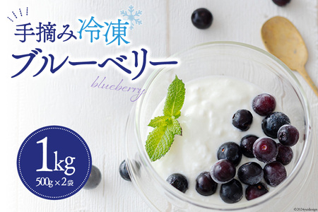 u[x[ Ⓚ 500g × 2 1kg [_юY m {茧  31ab0135] Y E  [Og {茧Y  َq ͂ 