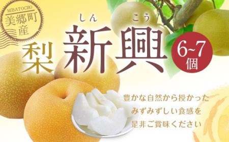 yԌ蔭z  V 6`7 [_Y m {茧  31ab0134] Ȃ iV ʕ  t[c Y W[V[ 