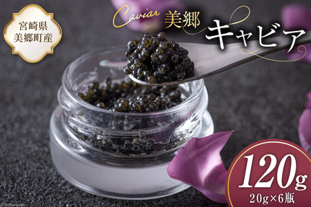  LrA `EU 120g [{LrA {茧  31az0018] 񂩂 LJ  t[o[ Ⓚ {茧Y