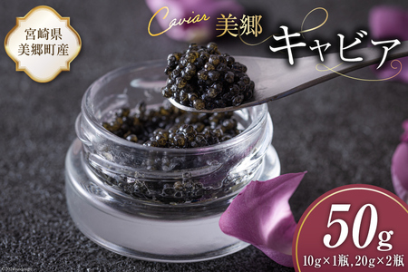  LrA `EU 50g [{LrA {茧  31az0014] 񂩂 LJ  t[o[ Ⓚ {茧Y