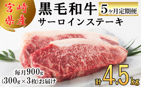 5  {茧Y јa T[C Xe[L 300g ×3×5 v4.5kg [TAOt[Y {茧  31ba0034]  Ⓚ  Y   ~ BBQ o[xL[ Lv ^