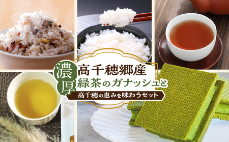 濃厚高千穂郷産緑茶のガナッシュと高千穂の恵みを味わうセット_Tk028-009