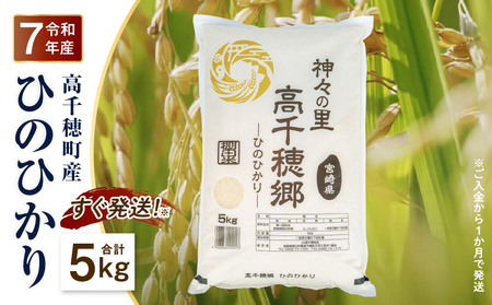 [令和7年産 新米]JA高千穂地区 ひのひかり 5kg 高千穂産 5kg 1袋 食品 米 お米 白米 ごはん 白飯 精米 国産 宮崎県産 単一原料 農作物 農産物 おすそ分け 普段使い 日常 炭水化物 主食 贈答 贈り物 ギフト プレゼント おすすめ 宮崎県 高千穂町 _Tk004-069