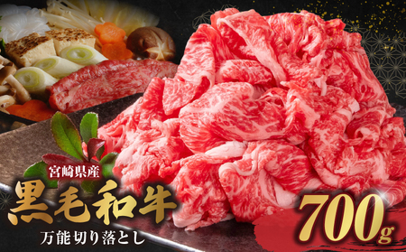 和牛おまかせ万能切落し700g|黒毛和牛 和牛 国産牛 牛肉 切り落とし 切落し 切り落し 霜降り 霜降り肉 赤身 混在 おまかせ肉 万能肉 家庭用 大容量 700g 小分け 350g 冷凍 有田牧場 エモ―牛 生産者直送 ブランド牛 受賞牛 品評会受賞 ワールドステーキチャレンジ 生産者部門 最優秀賞 宮崎県 高千穂町 ふるさと納税 返礼品|_Tk055-001