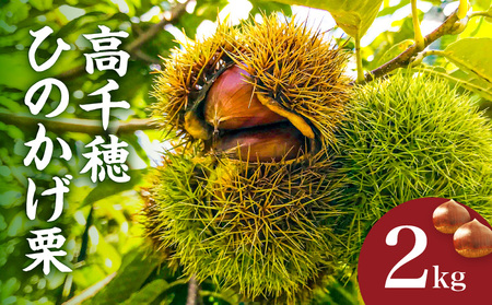 高千穂・ひのかげくり(9月限定)_Tk004-068