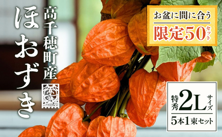 高千穂産ほおずき[観賞用] ほおずき ホオズキ 観賞用 飾り 色鮮やか 夏 風物詩 希少 数量 季節 限定 宮崎県 高千穂町 _Tk004-023