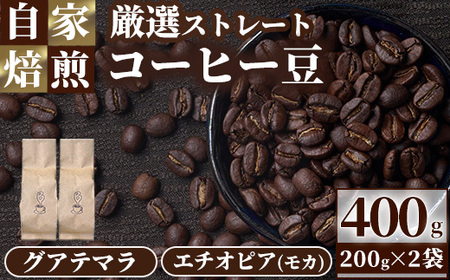 自家焙煎コーヒー豆 厳選ストレート2種400g(グアテマラ200g・エチオピア200g) モカ 珈琲 飲料 ドリンク アウトドア キャンプ おうち時間[BC001][Backrest Coffee]