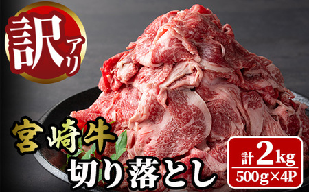 󂠂聄{苍 ؂藎Ƃ(v2kgE500g×4P)   uh  Ⓚ Y   јa {茧 yLJ006zy[JufBOЁz