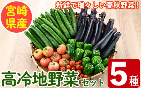 [数量限定・期間限定]高千穂地区高冷地野菜詰め合わせ(5種) やさい きゅうり ピーマン トマト ミニトマト なす 茄子 冷蔵 季節 新鮮 旬 産地直送 [NK017][宮崎県農業協同組合 高千穂地区本部]