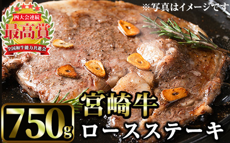 宮崎牛ロースステーキ(750g・3枚) 国産 宮崎県産 宮崎牛 牛肉 ステーキ A4 和牛 ブランド牛 ロース [MI045][(株)ミヤチク宮崎加工センター]