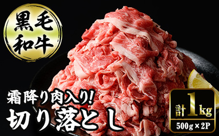 切り落とし和牛(500g×2P) 国産 宮崎県産 黒毛和牛 牛肉 こま切れ 小間切れ 炒めもの 霜降り 和牛 [AR011][(有)有田牧畜産業 食肉加工センター]