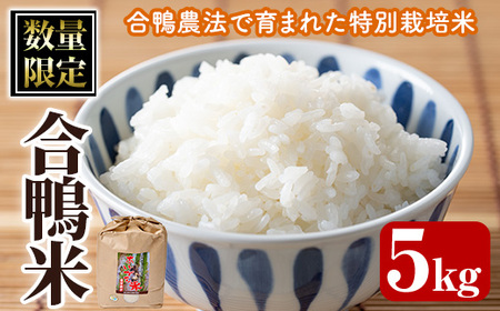  V E ߘa7NY ʌ聄   (5kg×1)   Y  ACK _@ 5kg  ͂yMU007zyVeY()z