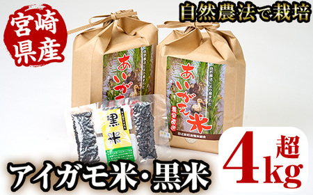 [令和5年産]アイガモ米(2kg×2個)と黒米(42g)[MU015][日之影町村おこし総合産業(株)]