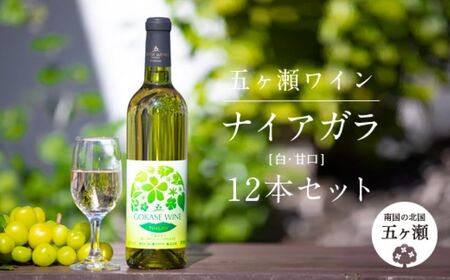 五ヶ瀬ワイン　ナイアガラ（白・甘口）１２本セット