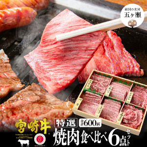 宮崎牛 特選食べ比べ焼肉6点盛り[合計600g]