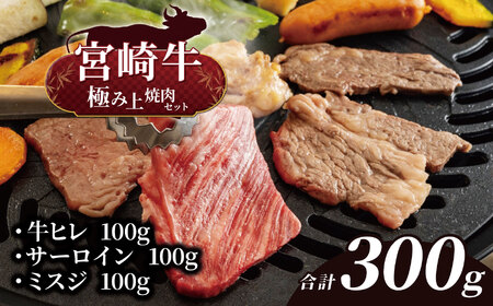 宮崎牛 極み上焼肉セット | 宮崎牛 牛ヒレ 100g 宮崎牛 サーロイン 100g 宮崎牛 ミスジ 100g 宮崎牛 A4 黒毛和牛 牛肉 肉 にく 赤身 国産 ブランド牛 ステーキ 焼肉 宮崎県 五ヶ瀬町