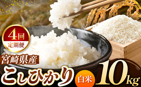 yւSzߘa7NY  V Ђ 10kg iāj {茧Y |       RVqJ {茧 ܃