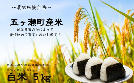 令和7年産 新米 五ヶ瀬町産米 こしひかり 5kg | お米 米 ブランド こめ 白米 九州 宮崎県 五ヶ瀬町 白米