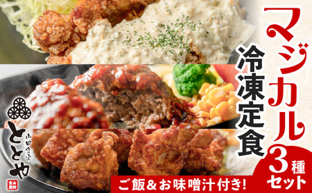 マジカル冷凍定食 3種セット K258-001 冷凍 惣菜 おかず 弁当 時短 簡単 定食 チキン南蛮 ハンバーグ 牛 から揚げ 唐揚げ ご飯 みそ汁 温めるだけ レンジ 湯煎 インスタント 仕送り 差し入れ 山田食堂ととや 送料無料 鹿児島市 土産 贈り物 プレゼント ギフト 贈答