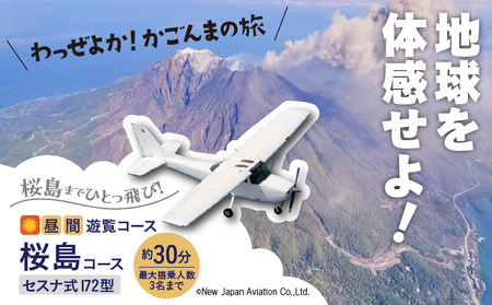 [ 昼間 遊覧飛行 ] 桜島コース セスナ式172型(大人3名まで) K222-FT001 体験 体験チケット チケット 空中散歩ツアー セスナ 遊覧 思い出 航空 桜島 錦江湾 新日本航空 ふるさと納税 鹿児島 おすすめ ランキング プレゼント ギフト