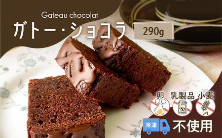 [ 洋菓子 ] ガトー ・ ショコラ K119-003 限定 数量限定 チョコレート ケーキ 菓子 スイーツ 甘い 手作り 冷凍 Tigre Chocolat 鹿児島市 土産 贈り物 プレゼント ギフト 贈答
