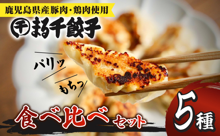 まる千餃子 食べ比べセット K067-003 惣菜 総菜 豚 鶏 鹿児島県産 国産 餃子 冷凍餃子 おかず 肉 野菜 にんにく キムチ レモン 岩塩 黒豚 黒さつま鶏 炭 中華 ふるさと納税 鹿児島 おすすめ ランキング プレゼント ギフト 冷凍