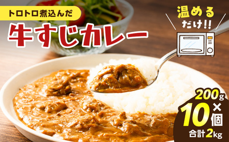 牛すじカレー 2kg K008-006 牛すじ カレー ビーフ スパイス トロトロ 小分け コクのある 冷凍 本格 美味しい 簡単 調理 温めるだけ レンジ 鹿児島物産展 九州物産展 にく太 太 ふるさと納税 鹿児島 鹿児島市 おすすめ ランキング プレゼント ギフト